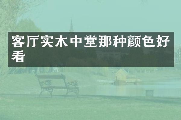 客厅实木中堂那种颜色好看