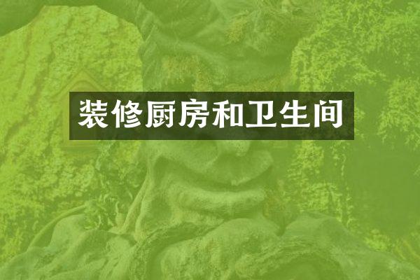 装修厨房和卫生间