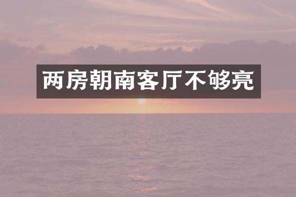 两房朝南客厅不够亮