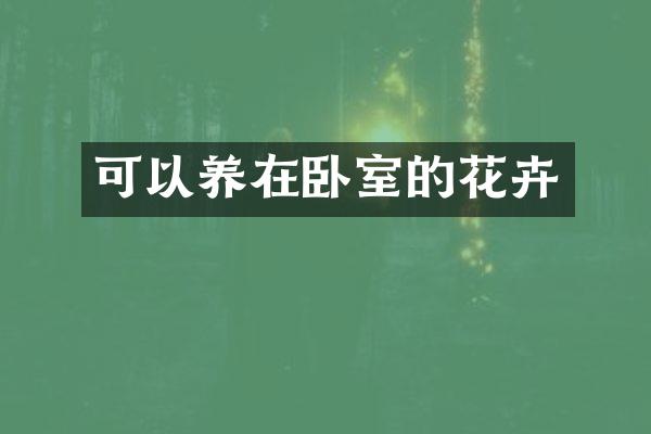 可以养在卧室的花卉