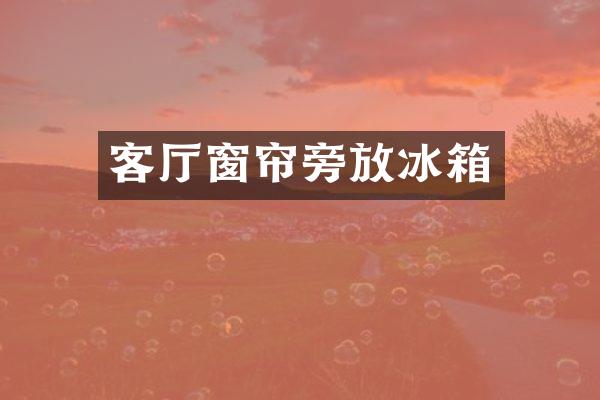 客厅窗帘旁放冰箱