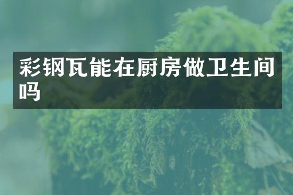 彩钢瓦能在厨房做卫生间吗