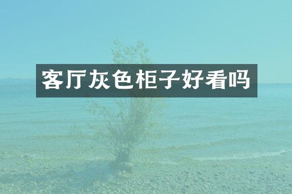 客厅灰色柜子好看吗