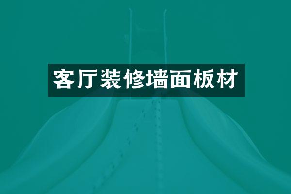 客厅装修墙面板材