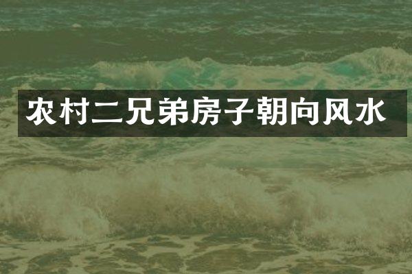 农村二兄弟房子朝向风水