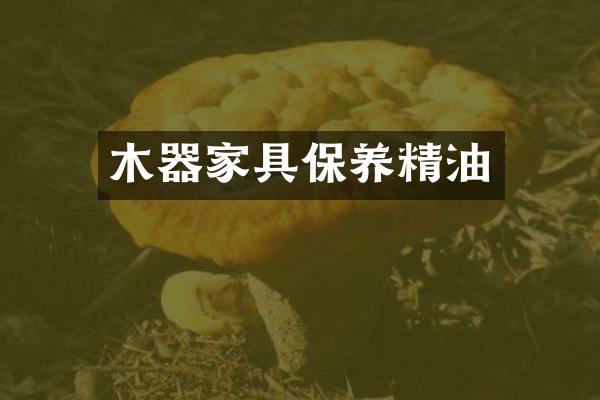 木器家具保养精油