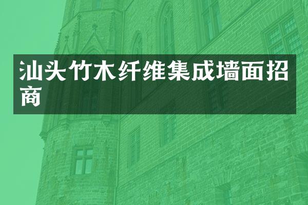 汕头竹木纤维集成墙面招商