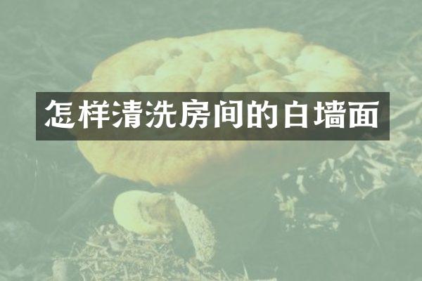 怎样清洗房间的白墙面