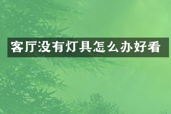 客厅没有灯具怎么办好看