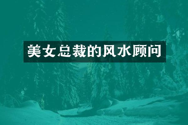 总裁的风水顾问