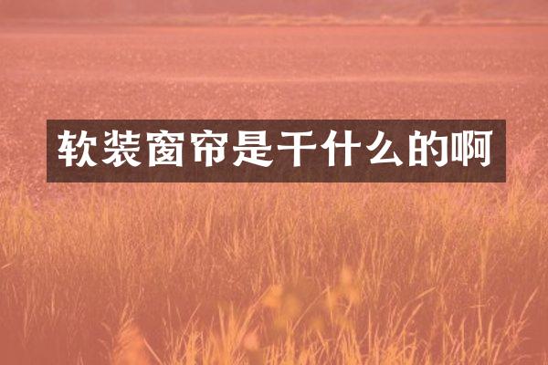软装窗帘是干什么的啊