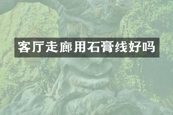 客厅走廊用石膏线好吗