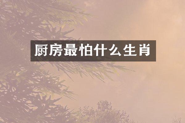 厨房最怕什么生肖