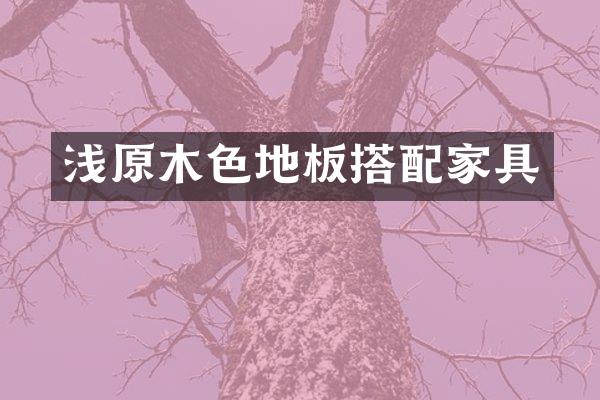 浅原木色地板搭配家具