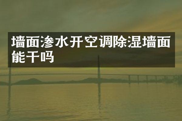 墙面渗水开空调除湿墙面能干吗