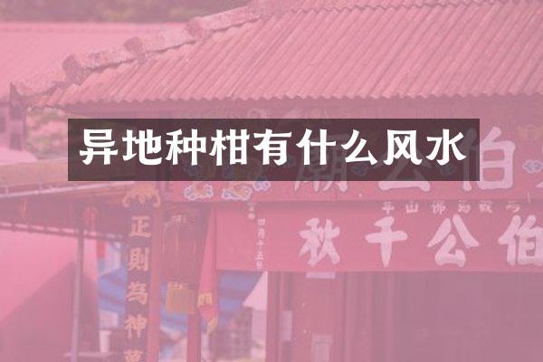 异地种柑有什么风水
