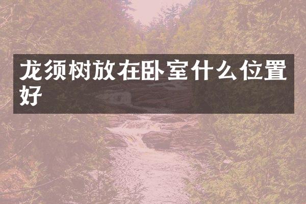 龙须树放在卧室什么位置好