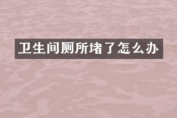 卫生间厕所堵了怎么办