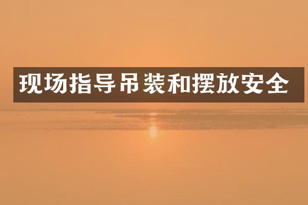 现场指导吊装和摆放安全