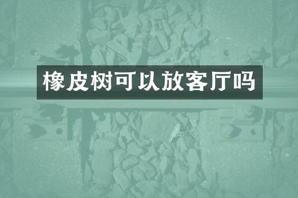 橡皮树可以放客厅吗