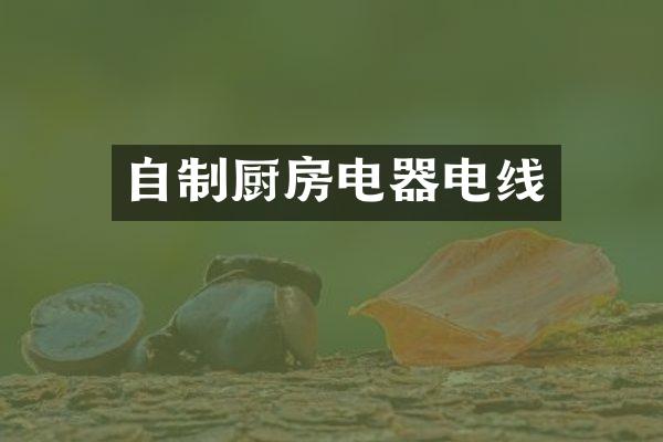自制厨房电器电线