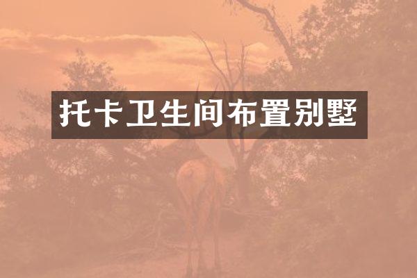 托卡卫生间布置别墅
