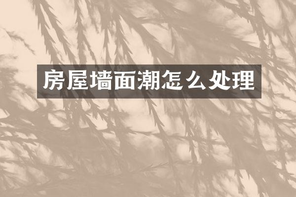 房屋墙面潮怎么处理