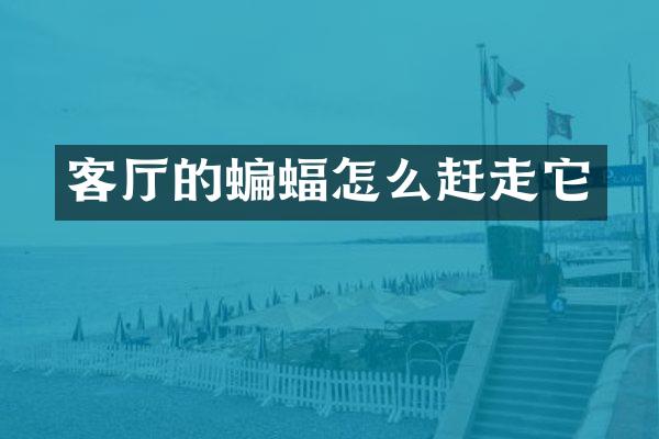 客厅的蝙蝠怎么赶走它