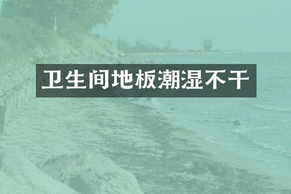 卫生间地板潮湿不干