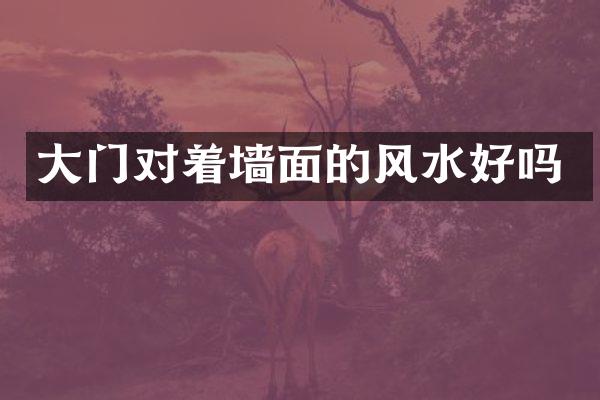 大门对着墙面的风水好吗