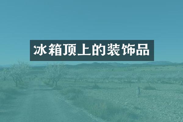 冰箱顶上的装饰品
