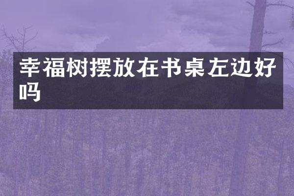 幸福树摆放在书桌左边好吗