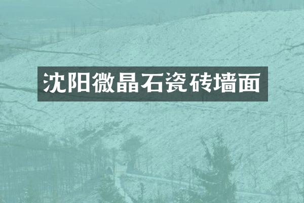 沈阳微晶石瓷砖墙面