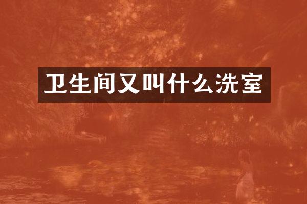 卫生间又叫什么洗室