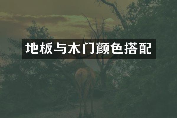 地板与木门颜色搭配