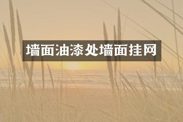 墙面油漆处墙面挂网