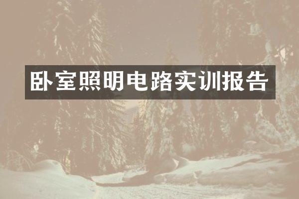 卧室照明电路实训报告