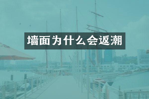 墙面为什么会返潮