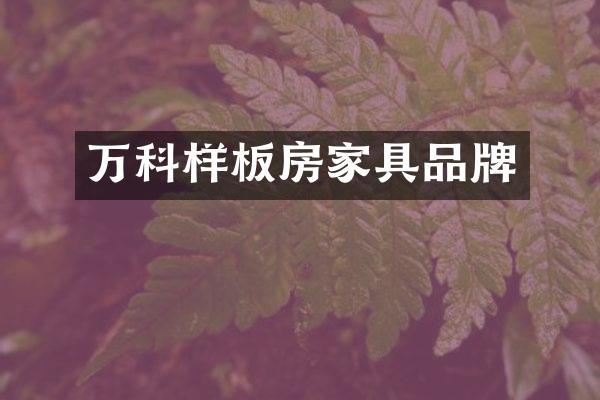万科样板房家具品牌