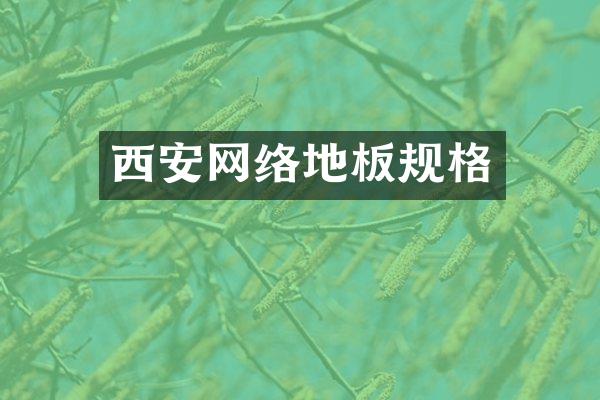 西安网络地板规格