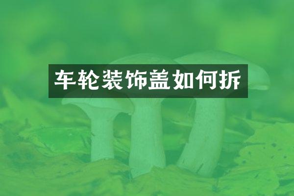 车轮装饰盖如何拆