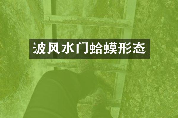 波风水门蛤蟆形态