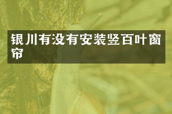 银川有没有安装竖百叶窗帘