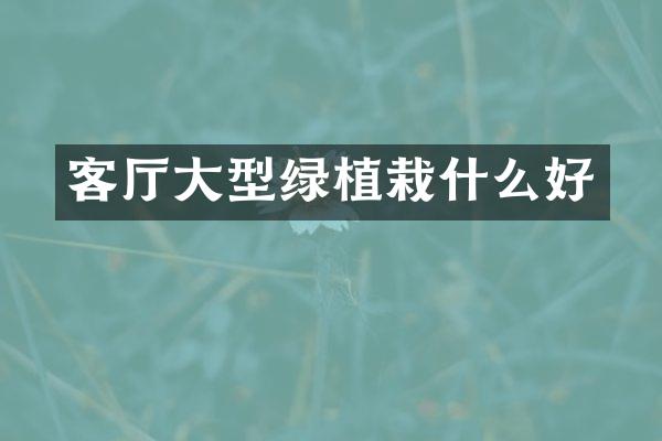 客厅大型绿植栽什么好