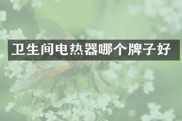 卫生间电热器哪个牌子好