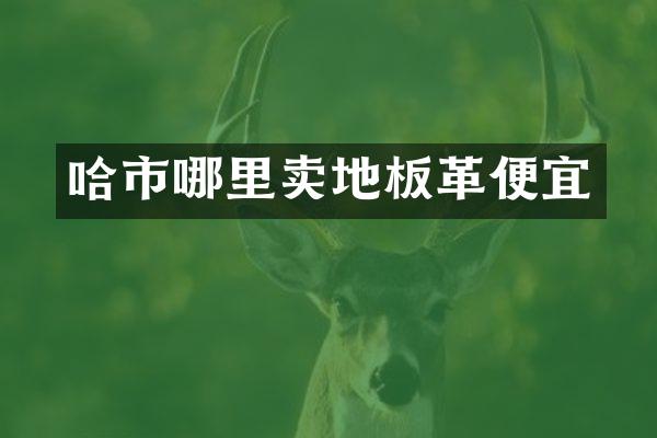 哈市哪里卖地板革便宜