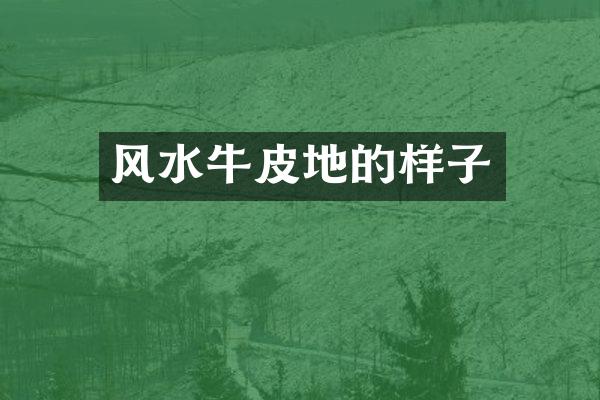风水牛皮地的样子