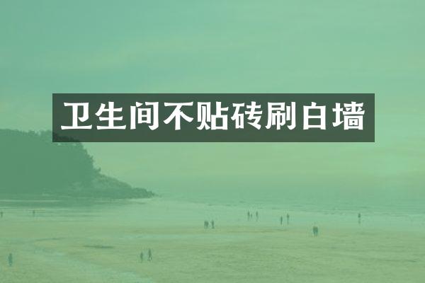 卫生间不贴砖刷白墙
