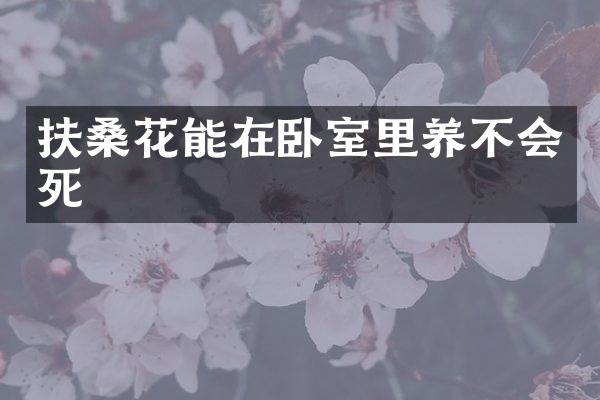 扶桑花能在卧室里养不会死