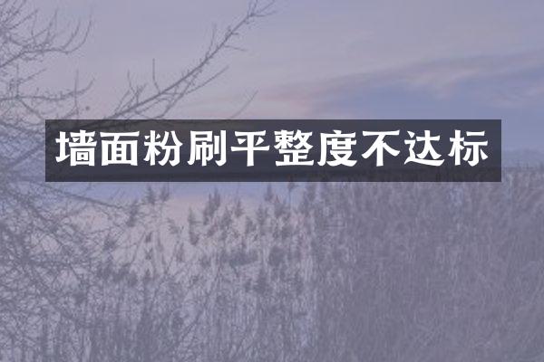 墙面粉刷平整度不达标